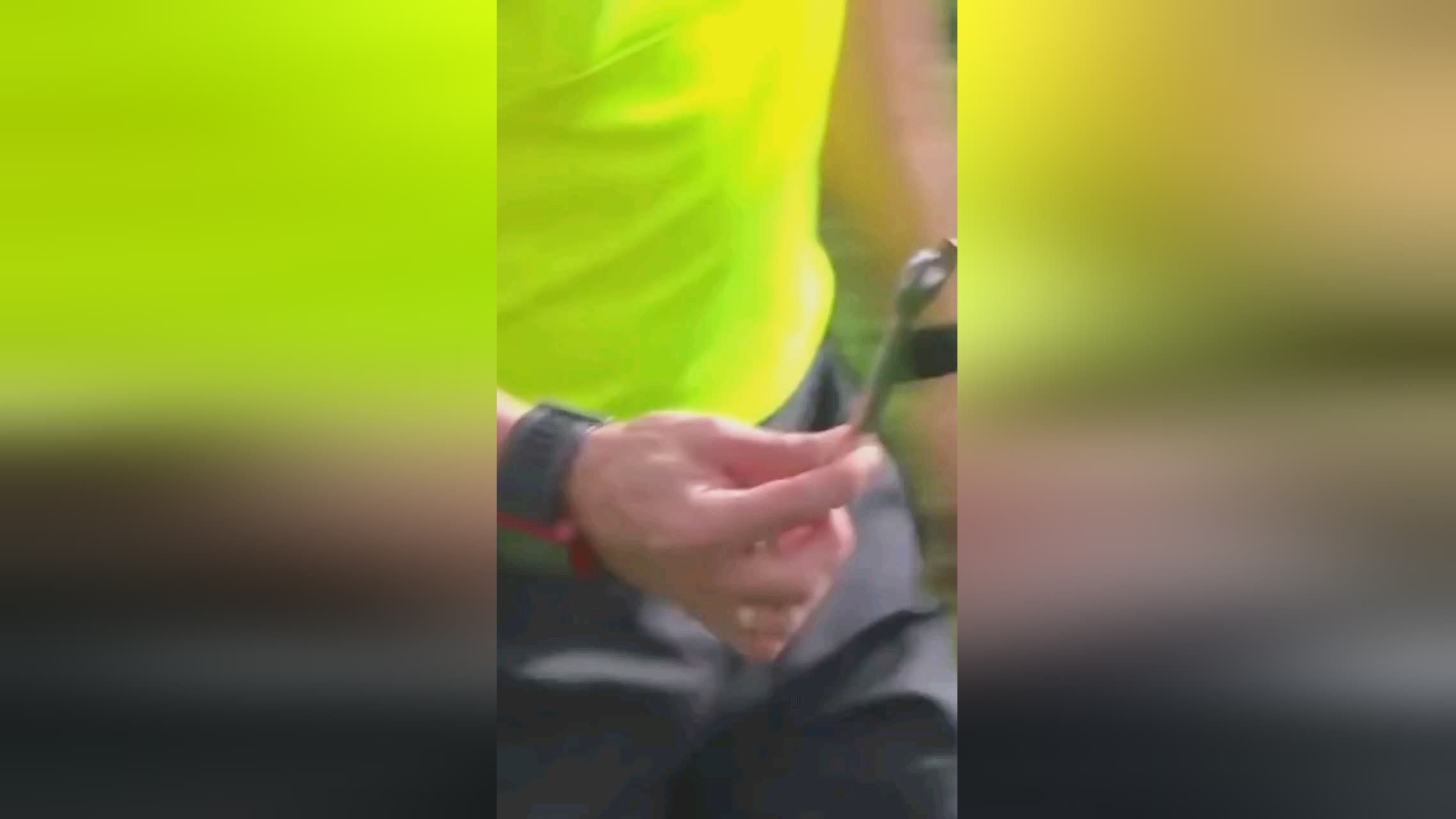 的心